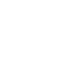 insurance icon