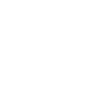 insurance icon