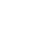 insurance icon