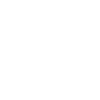 insurance icon