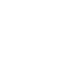 insurance icon