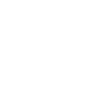 insurance icon