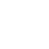 insurance icon