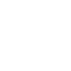 insurance icon